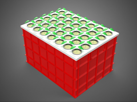 Semis aéroponiques hydroponiques, pousses d'arbre, plateau de plantation, tasse en filet Modèle 3D