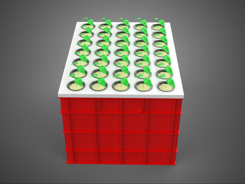 Semis aéroponiques hydroponiques, pousses d'arbre, plateau de plantation, tasse en filet Modèle 3D