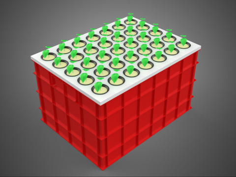 Semis aéroponiques hydroponiques, pousses d'arbre, plateau de plantation, tasse en filet Modèle 3D