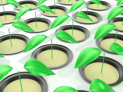 Semis aéroponiques hydroponiques, pousses d'arbre, plateau de plantation, tasse en filet Modèle 3D