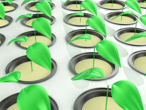 Semis aéroponiques hydroponiques, pousses d'arbre, plateau de plantation, tasse en filet Modèle 3D