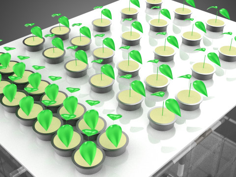 묘목 에어로포닉 박스 그리드 식물 뿌리 트레이 재배 정원 3D 모델