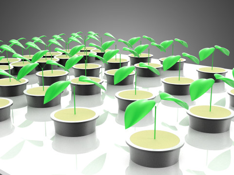 묘목 에어로포닉 박스 그리드 식물 뿌리 트레이 재배 정원 3D 모델