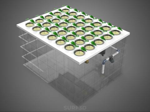 BANDEJA DE CULTIVO DE BOMBA DE AGUA DE COPA DE RED DE CULTIVO DE PLANTAS AEROPÓNICAS TRANSPARENTES Modelo 3D