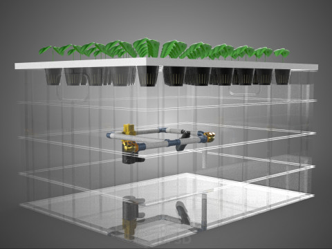 BANDEJA DE CULTIVO DE BOMBA DE AGUA DE COPA DE RED DE CULTIVO DE PLANTAS AEROPÓNICAS TRANSPARENTES Modelo 3D