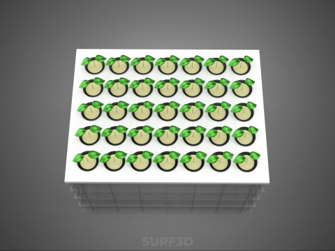 BANDEJA DE CULTIVO DE BOMBA DE AGUA DE COPA DE RED DE CULTIVO DE PLANTAS AEROPÓNICAS TRANSPARENTES Modelo 3D