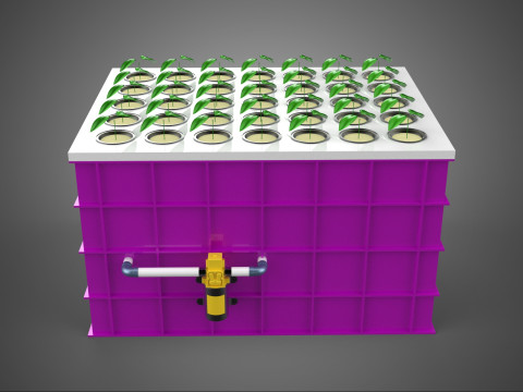 ГІДРОПОНІКА АЕРОПОНІКА DWC ВИРОЩУВАННЯ КЛОНОВА СТАНЦІЯ ТУМАНОВИЙ НАСОС ЦИКЛ 3D Модель