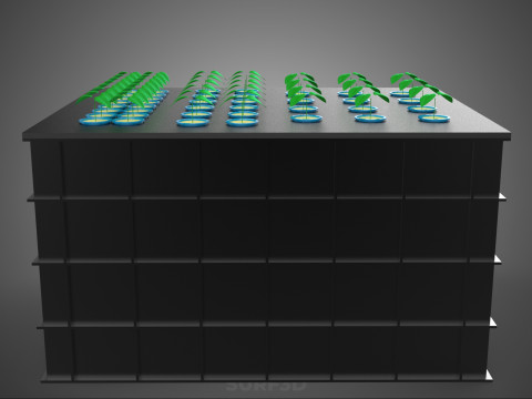 SISTEMA DE MÁQUINA DE PLANTA DE CLONAGEM HIDROPÔNICA AEROPÔNICA Modelo 3D