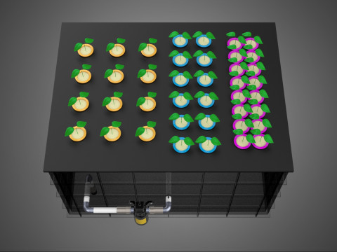 Automatisches aeroponisches Klonstations-Pflanzenspray-Klon-Kloner-Set 3D Modell