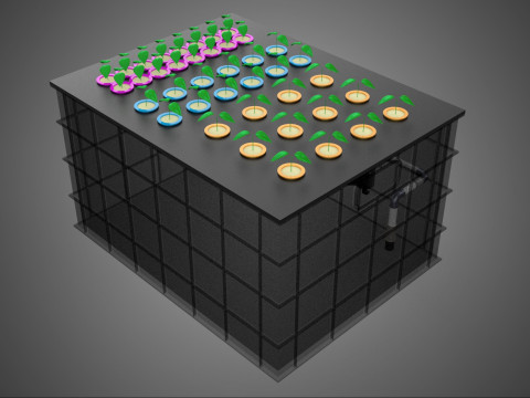 Automatisches aeroponisches Klonstations-Pflanzenspray-Klon-Kloner-Set 3D Modell