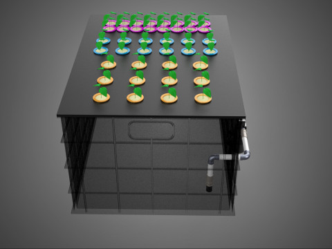 Automatisches aeroponisches Klonstations-Pflanzenspray-Klon-Kloner-Set 3D Modell