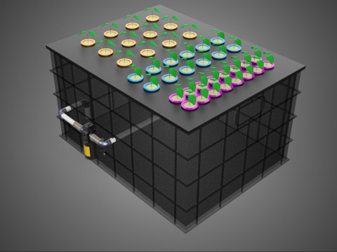 Automatisches aeroponisches Klonstations-Pflanzenspray-Klon-Kloner-Set 3D Modell