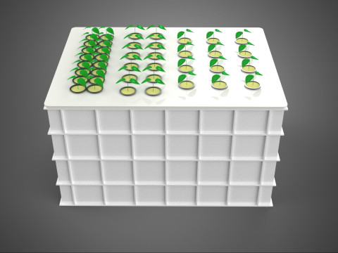 AEROPONIC HYDROPONIC STEINWOLLE-PFLANZKASTEN-POD-KULTURSYSTEM UP 3D Modell