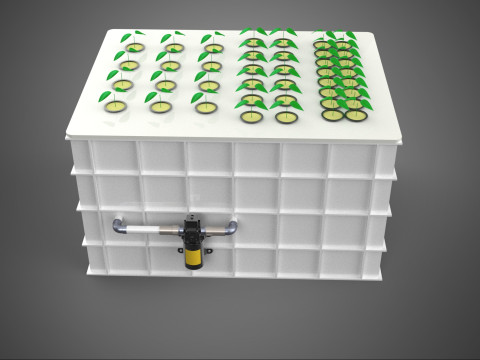 AEROPONIC HYDROPONIC STEINWOLLE-PFLANZKASTEN-POD-KULTURSYSTEM UP 3D Modell