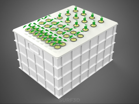 AEROPONIC HYDROPONIC STEINWOLLE-PFLANZKASTEN-POD-KULTURSYSTEM UP 3D Modell