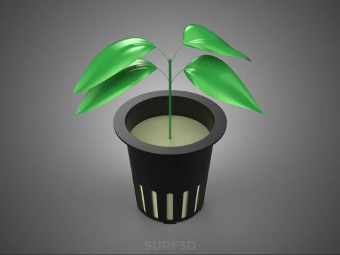 SOIL FREE SOILLESS HYDROPONIC NET POT CUP SEEDLING YOUNG PLANT 3D Model