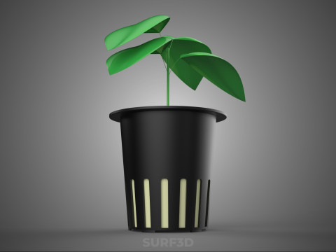SOIL FREE SOILLESS HYDROPONIC NET POT CUP SEEDLING YOUNG PLANT 3D Model