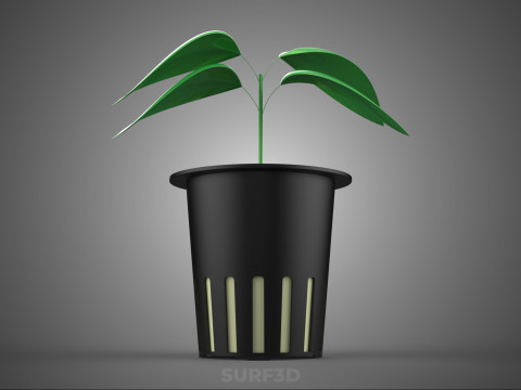 SOIL FREE SOILLESS HYDROPONIC NET POT CUP SEEDLING YOUNG PLANT 3D Model
