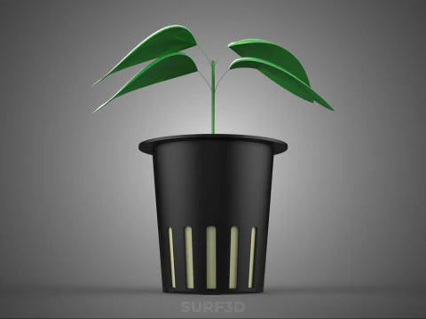 SOIL FREE SOILLESS HYDROPONIC NET POT CUP SEEDLING YOUNG PLANT 3D Model
