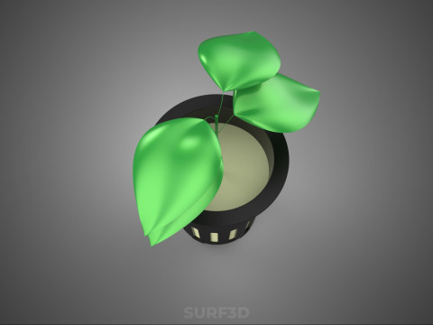 SOIL FREE SOILLESS HYDROPONIC NET POT CUP SEEDLING YOUNG PLANT 3D Model