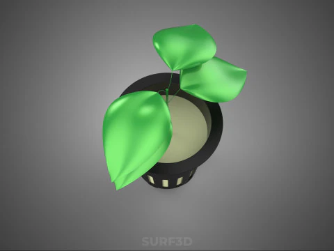 SOIL FREE SOILLESS HYDROPONIC NET POT CUP SEEDLING YOUNG PLANT 3D Model