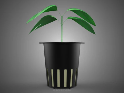 SOIL FREE SOILLESS HYDROPONIC NET POT CUP SEEDLING YOUNG PLANT 3D Model