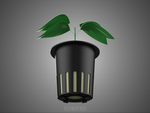 PLANT HYDROPONIC NET POT CUP MESH MEDIUM ROCKWOOL FOAM SPONGE PU 3D Model