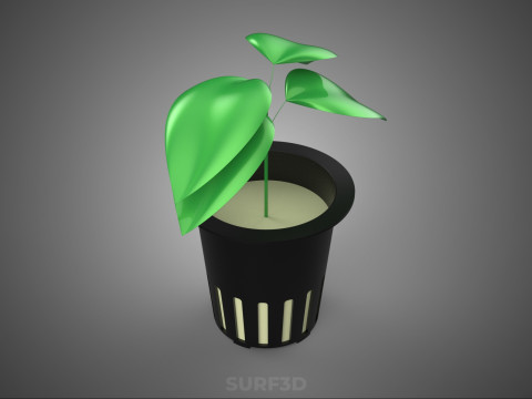HYDROPONIC AEROPONIC ZAAILING BOOM SPROUT STEM PLANTENNET POT CUP 3D Model