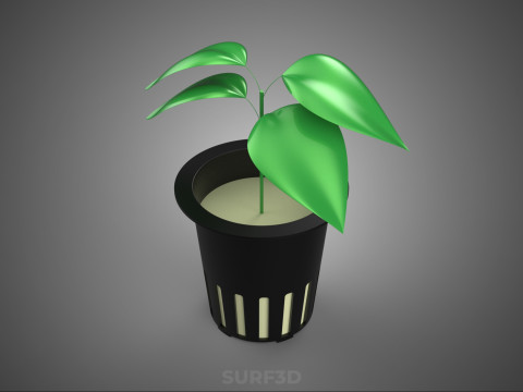 HYDROPONIC AEROPONIC ZAAILING BOOM SPROUT STEM PLANTENNET POT CUP 3D Model