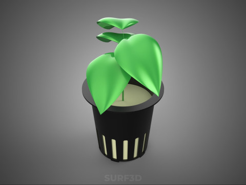 HYDROPONIC AEROPONIC ZAAILING BOOM SPROUT STEM PLANTENNET POT CUP 3D Model