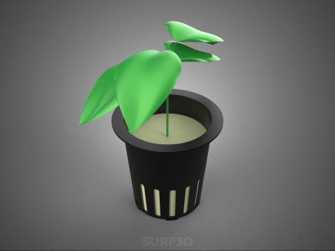 HYDROPONIC AEROPONIC ZAAILING BOOM SPROUT STEM PLANTENNET POT CUP 3D Model