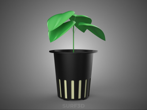 HYDROPONIC AEROPONIC ZAAILING BOOM SPROUT STEM PLANTENNET POT CUP 3D Model