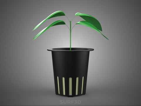 HYDROPONIC AEROPONIC ZAAILING BOOM SPROUT STEM PLANTENNET POT CUP 3D Model