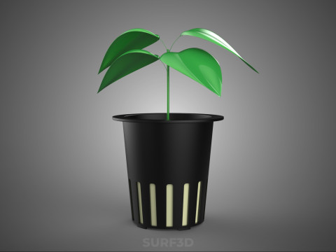 HYDROPONIC AEROPONIC ZAAILING BOOM SPROUT STEM PLANTENNET POT CUP 3D Model