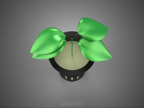 HYDROPONIC AEROPONIC ZAAILING BOOM SPROUT STEM PLANTENNET POT CUP 3D Model