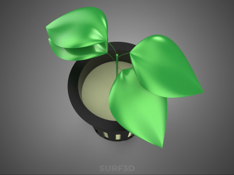 HYDROPONIC AEROPONIC ZAAILING BOOM SPROUT STEM PLANTENNET POT CUP 3D Model