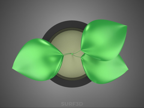 HYDROPONIC AEROPONIC ZAAILING BOOM SPROUT STEM PLANTENNET POT CUP 3D Model