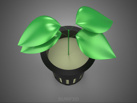 HYDROPONIC AEROPONIC ZAAILING BOOM SPROUT STEM PLANTENNET POT CUP 3D Model