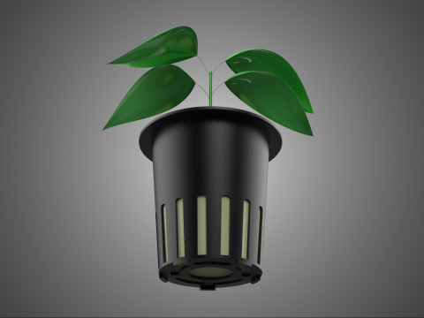 HYDROPONIC AEROPONIC ZAAILING BOOM SPROUT STEM PLANTENNET POT CUP 3D Model