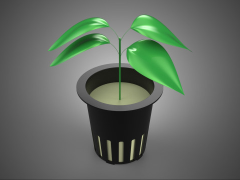 HYDROPONIC AEROPONIC ZAAILING BOOM SPROUT STEM PLANTENNET POT CUP 3D Model