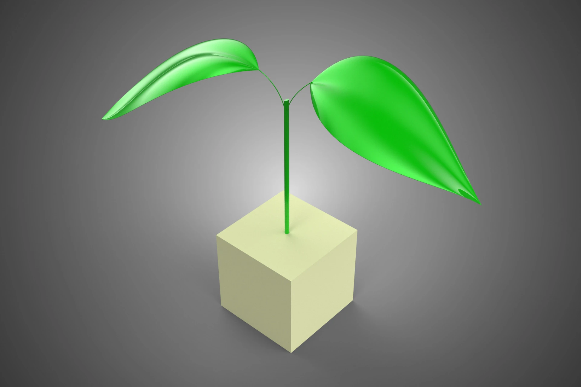 HORTICULTURAL POLYURETHANE MEDIA FOAM SPONGE ROCKWOOL PU PLANT 3D Model .c4d .max .obj .3ds .fbx .stl .blend 