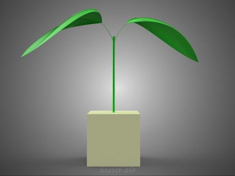 САДОВОДСТВЕННАЯ ПОЛИУРЕТАНОВАЯ ПЕНА ГУБКА МИНКОВАТНАЯ ВАТА ЗАВОД ПУ 3D Модель