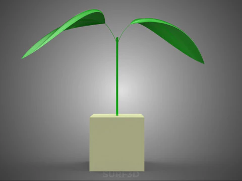 HORTICULTURAL POLYURETHANE MEDIA FOAM SPONGE ROCKWOOL PU PLANT 3D Model
