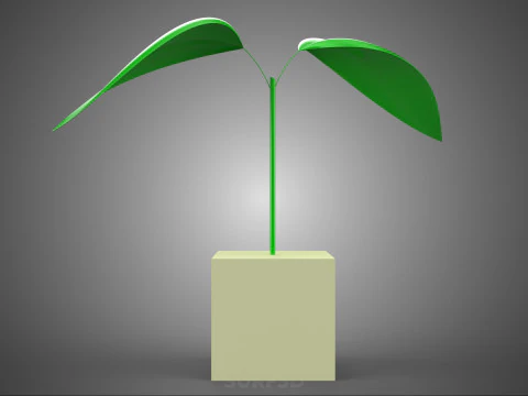 HORTICULTURAL POLYURETHANE MEDIA FOAM SPONGE ROCKWOOL PU PLANT 3D Model