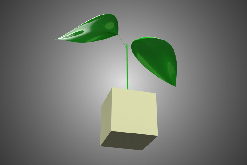 KÜP KÜP BLOK SÜNGER ORTA HİDROPONİK FİDE KÜÇÜK BİR BİTKİ 3D Model .c4d .max .obj .3ds .fbx .stl .blend