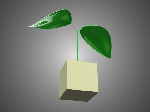 KUBIEK KUBUSBLOK SPONS MEDIUM HYDROPONIC ZAAILING EEN KLEINE PLANT 3D Model