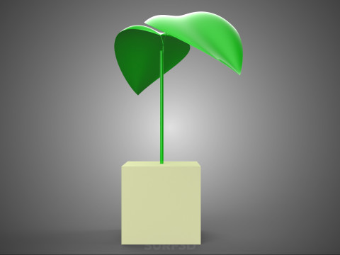 KÜP KÜP BLOK SÜNGER ORTA HİDROPONİK FİDE KÜÇÜK BİR BİTKİ 3D Model