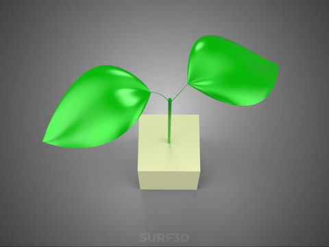 KÜP KÜP BLOK SÜNGER ORTA HİDROPONİK FİDE KÜÇÜK BİR BİTKİ 3D Model