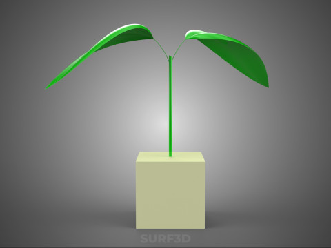 KÜP KÜP BLOK SÜNGER ORTA HİDROPONİK FİDE KÜÇÜK BİR BİTKİ 3D Model