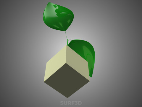 KÜP KÜP BLOK SÜNGER ORTA HİDROPONİK FİDE KÜÇÜK BİR BİTKİ 3D Model